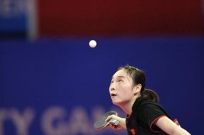 包含体操夜战：北城天虎队鏖战吴越霹雳队，速度优势明显教练团队居功至伟的词条-网页版登录入口