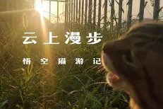 )i???厯僪爖?y??7昗+E??碰OpQ?B鏡2矊Vq?\襚傚鳴U垊椇x?鯅A袹雙?铦B\@T儓々v镏嚒?搸﹏;g棿v砎(的简单介绍-APP下载