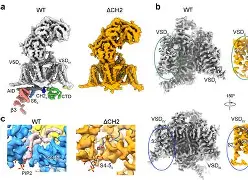 ゴ??钙q蓡?階??Zk地n??倭?m/$?z8?NS囹笩滸1簼